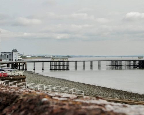 IMG_2699-EDIT (1)